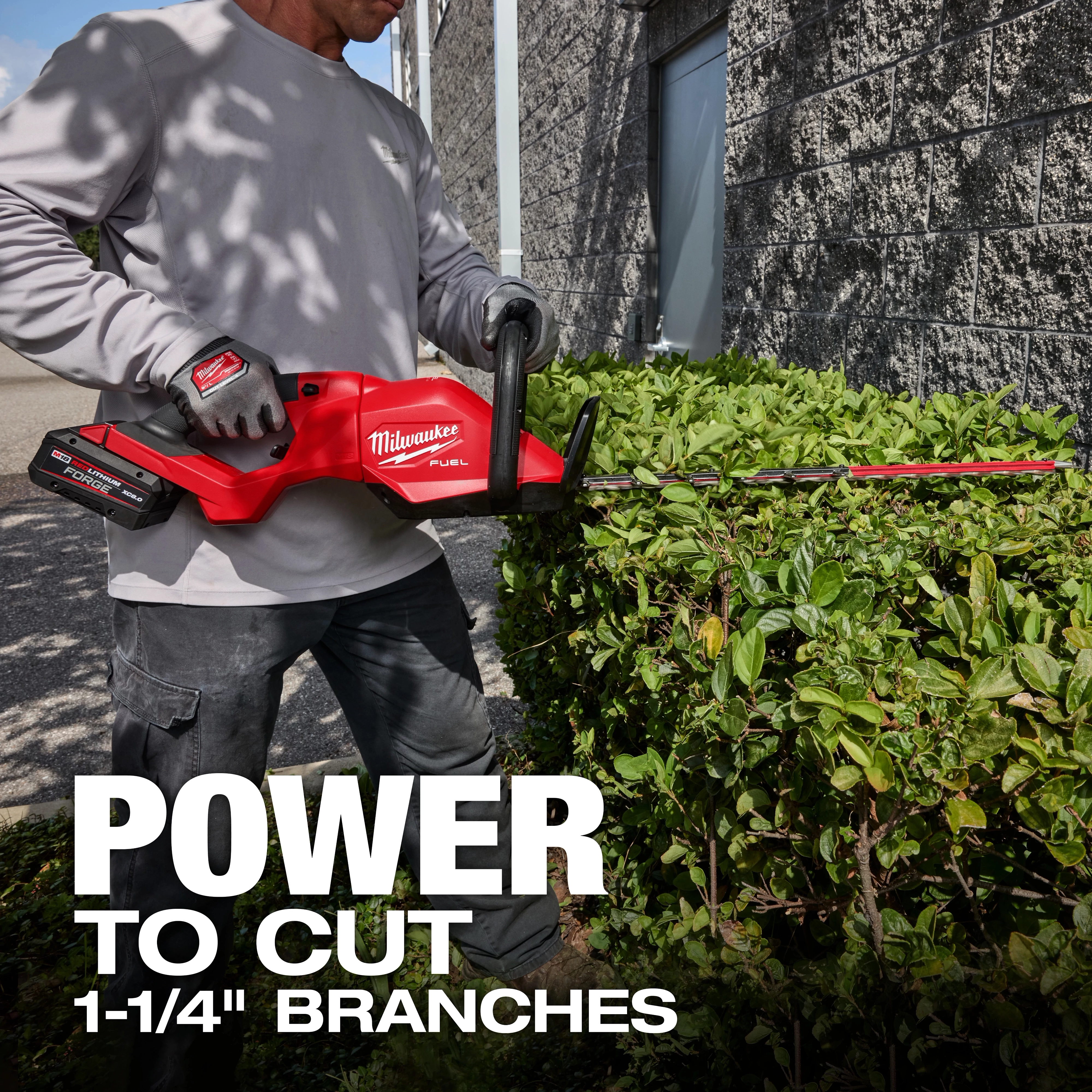 A person is using the M18 FUEL™ 24" and 30" Hedge Trimmer to trim a hedge. The text on the image states, "POWER TO CUT 1-1/4" BRANCHES." The hedge trimmer is red with black handles and labeled with the Milwaukee brand.